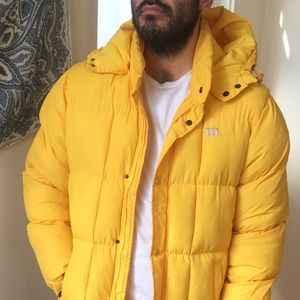 Yellow Wilson Puffer